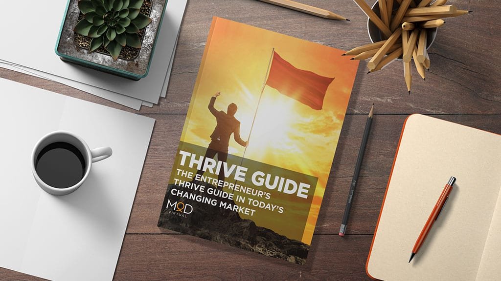 thrive guide the entrepreneur's thrive guide in today's changing market book cover