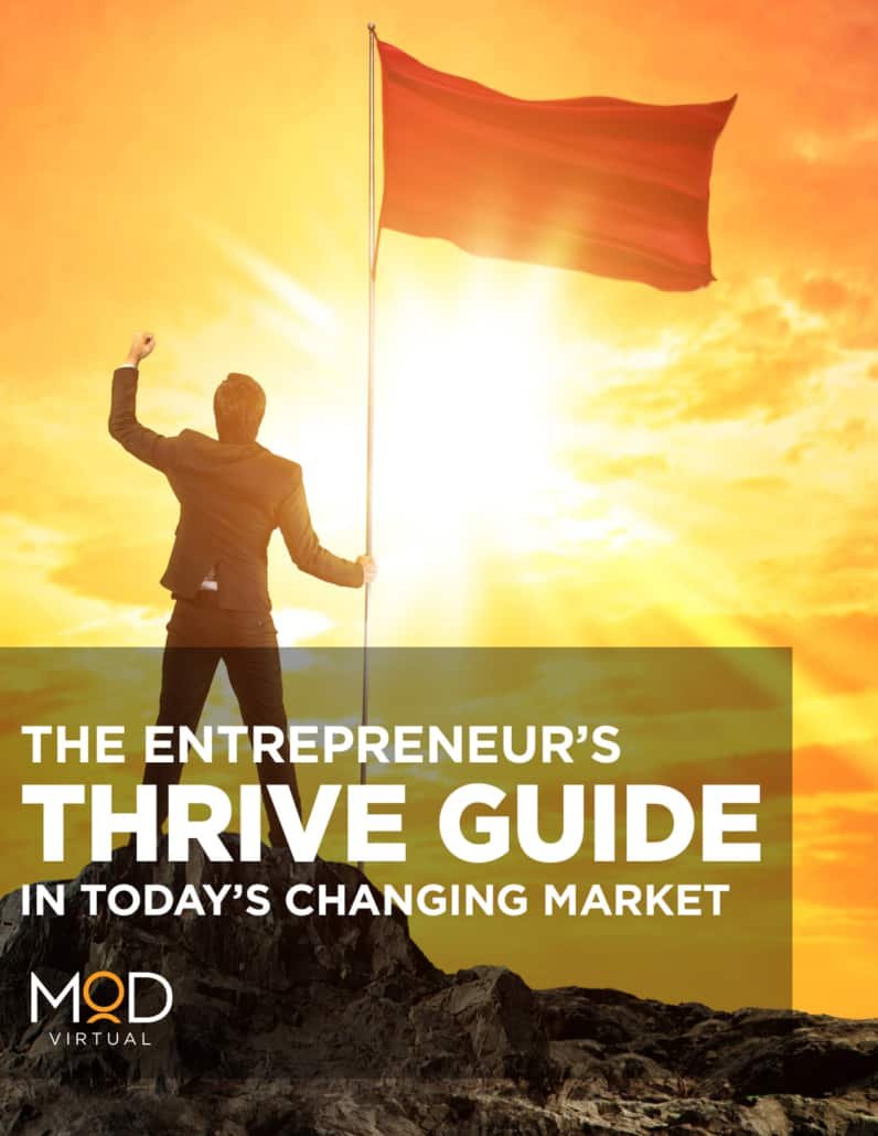 thrive guide the entrepreneur's thrive guide in today's changing market book cover